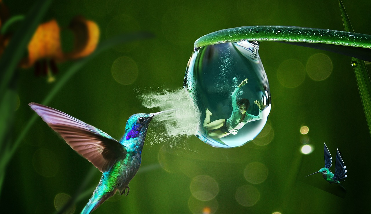 Recent Info Stealer Phishing Campaigns