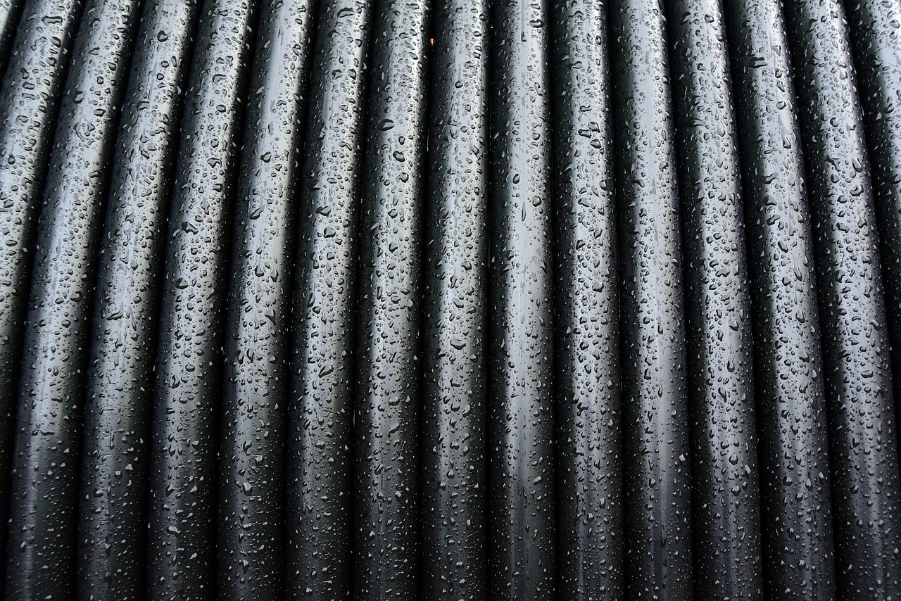 When Trusted Domains Turn Hostile: The Apache Module Supply Chain Threat