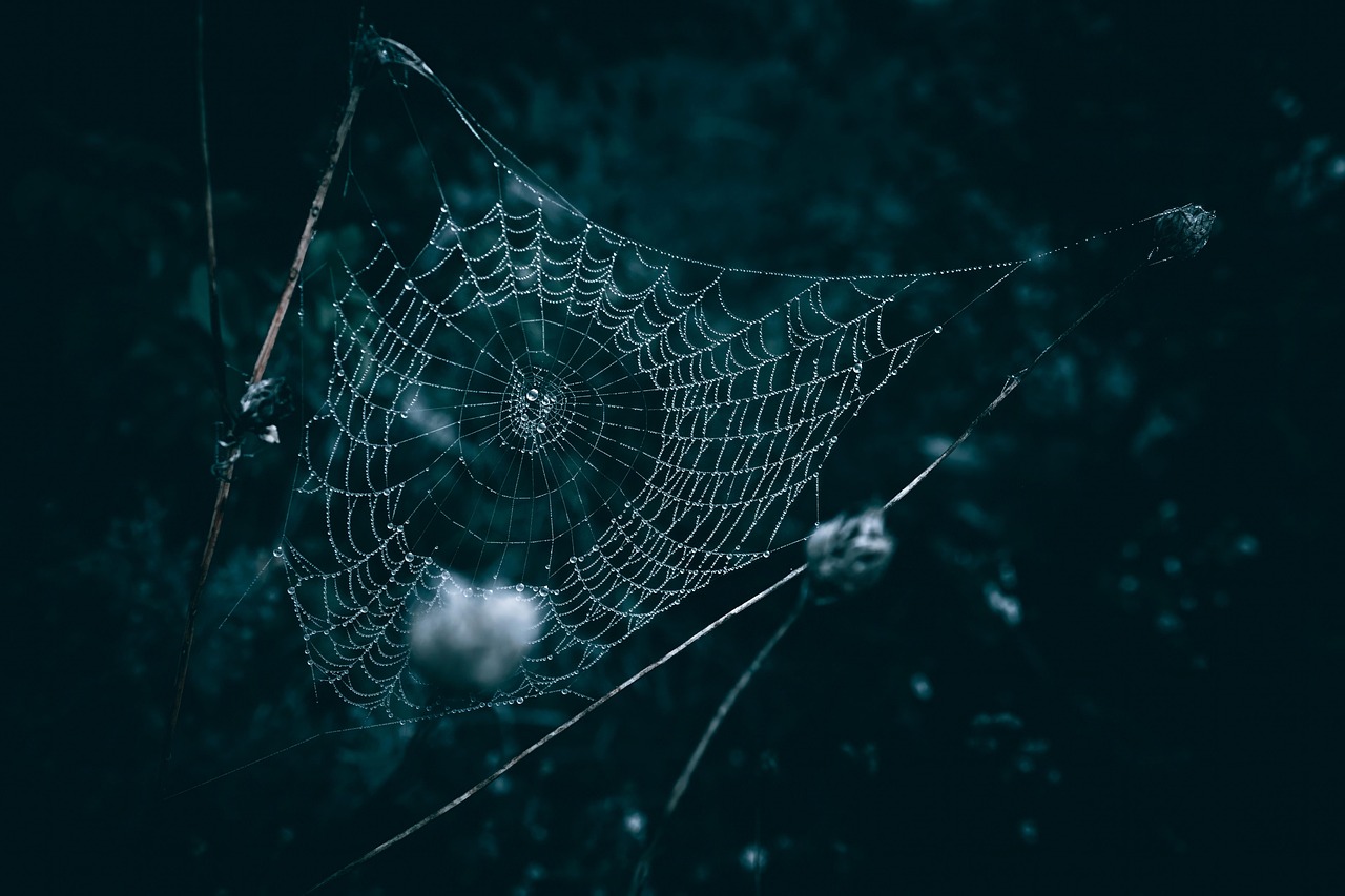 153M Driver's Licenses on the Dark Web: The IDScan.net Breach and What Defenders Must Do Now