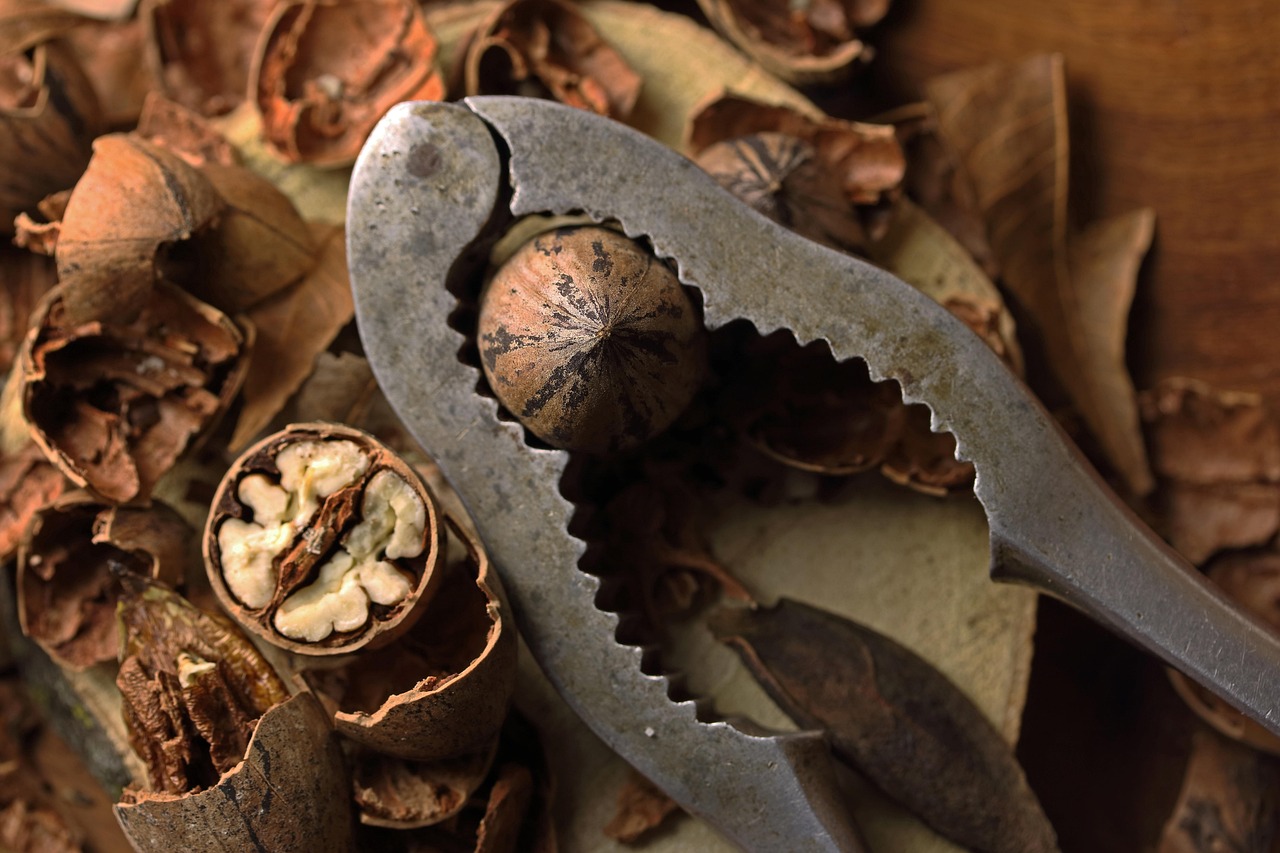 OpenBSD Root Exploit Chains 37-Year-Old BSD Integer Overflow With Kernel Use-After-Free