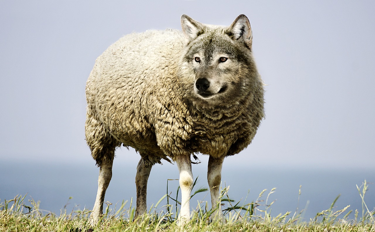 PHANTOM-B and the Urgent Need for LLM Threat Modeling