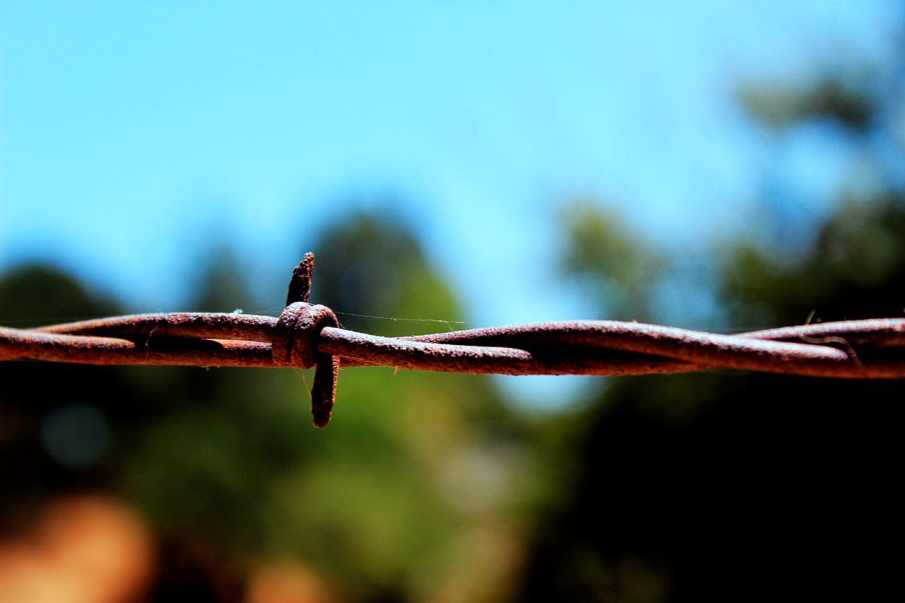 Browser Extension Supply Chain Attack: 31,000 Twitch Users' OAuth Tokens Compromised by JeetBot