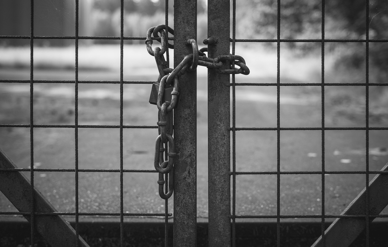 Identity Security as a Career Launchpad: Why IAM Is the Field's Most Future-Proof Specialty